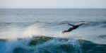 Surfer flying off a wave captured perfectly in a swan position